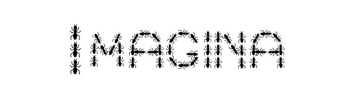 ANTY Bold  Free Fonts Download