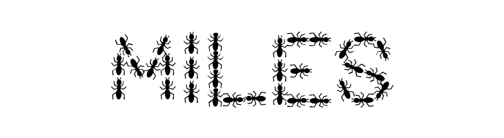 ANTY Bold  Free Fonts Download