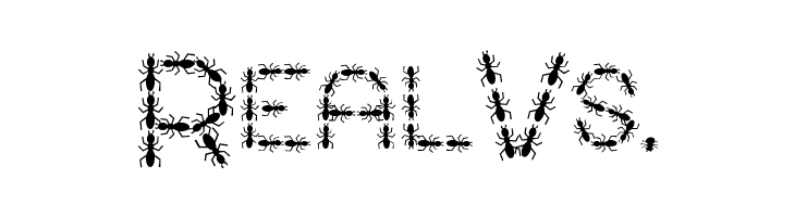 ANTY Bold  Free Fonts Download