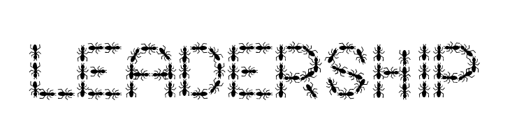 ANTY Bold  Free Fonts Download