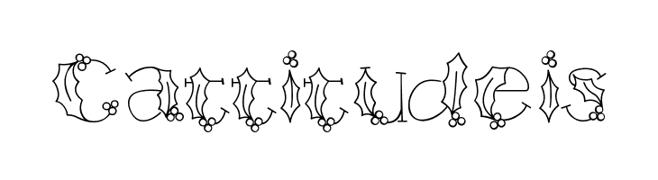 HOLLY&BERRIE Bold  Free Fonts Download