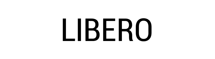 Charu Chandan Unicode  Free Fonts Download