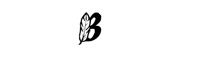 FeathersInYourCapsRegular  Free Fonts Download