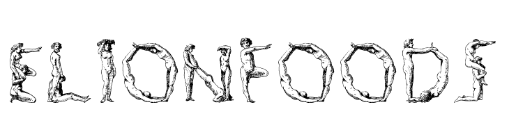 SilvestreBodies  Free Fonts Download