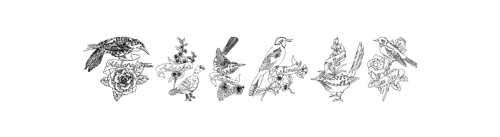 StateBirds  Free Fonts Download