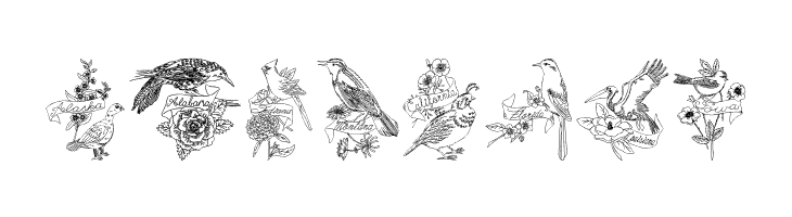 StateBirds  Free Fonts Download