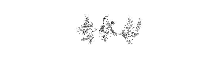 StateBirds  Free Fonts Download