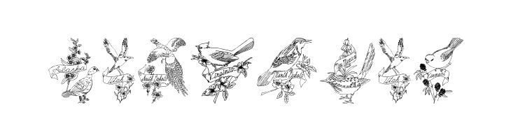 StateBirds  Free Fonts Download