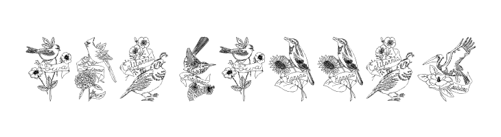 StateBirds  Free Fonts Download