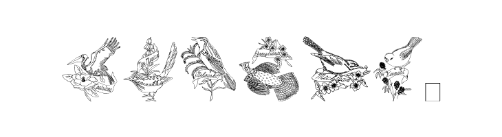 StateBirds  Free Fonts Download