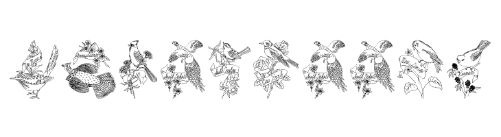 StateBirds  Free Fonts Download