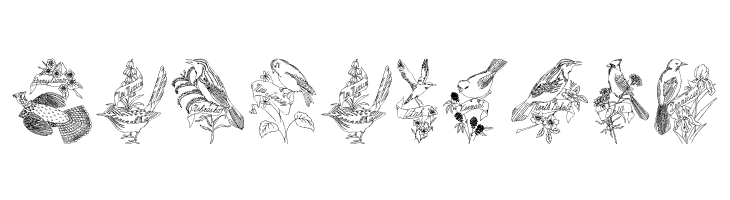 StateBirds  Free Fonts Download