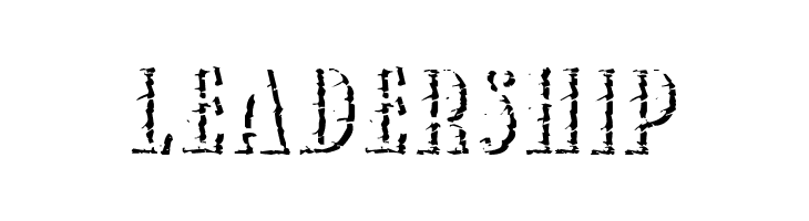 StoneAm  Free Fonts Download