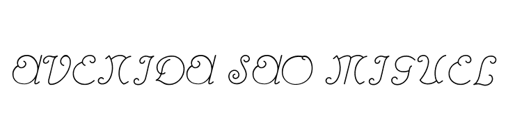 Rhumba Script NF  Free Fonts Download