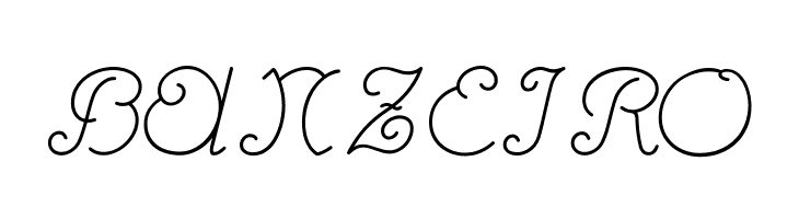 Rhumba Script NF  Free Fonts Download