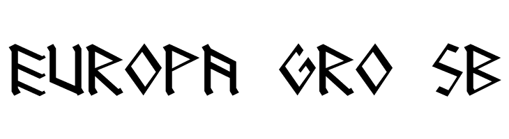 DS_RUNEnglish 1  Free Fonts Download