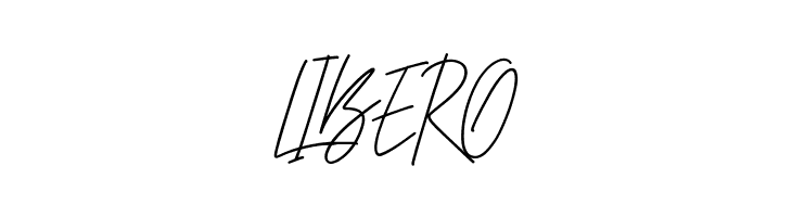 CheGuevara Sign Regular  Free Fonts Download