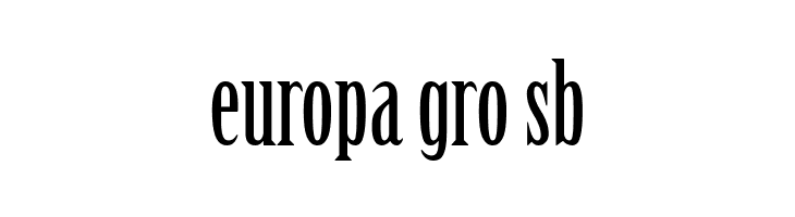 CheGuevara Text Serif  Free Fonts Download