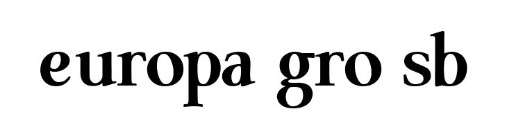 ModerataSerif Bold  Free Fonts Download