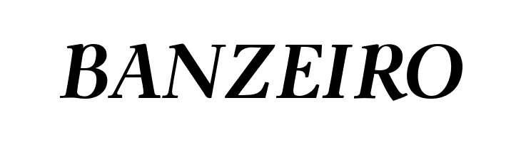 ModerataSerif Bold Italic  Free Fonts Download