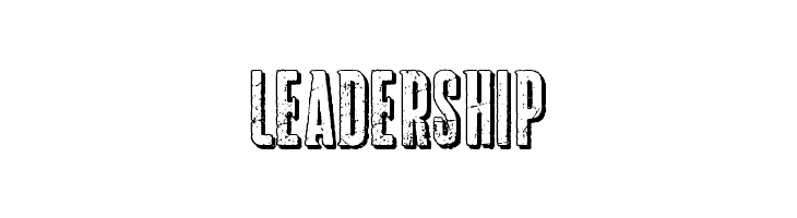 Lighting  Free Fonts Download