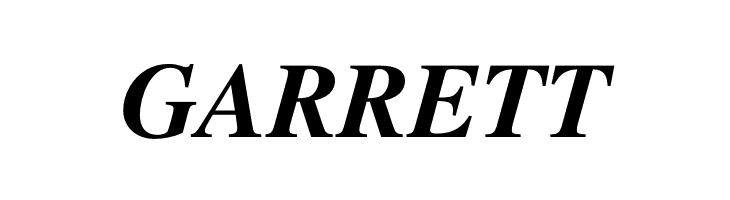 Free Serif Bold Italic  Free Fonts Download