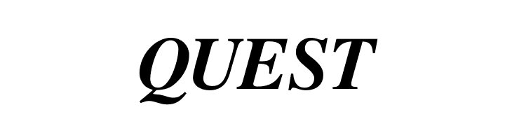 Free Serif Bold Italic  Free Fonts Download