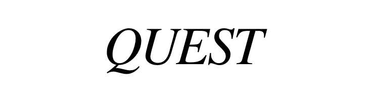 Free Serif Italic  Free Fonts Download