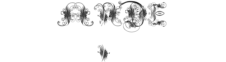 ExtravagantCapitals  Free Fonts Download