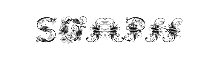 ExtravagantCapitals  Free Fonts Download