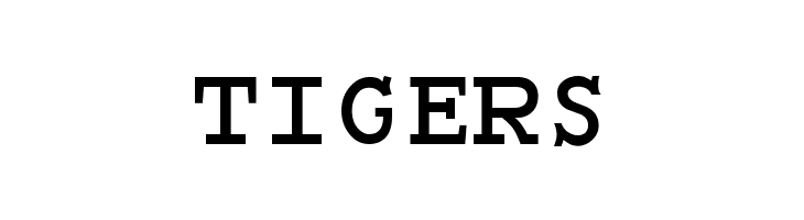 Monospace Bold  Free Fonts Download