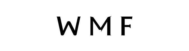 Cyn Regular Bold  Free Fonts Download