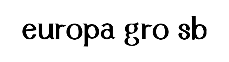 Cyn Regular Bold  Free Fonts Download