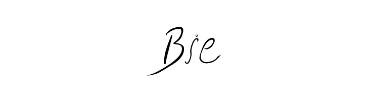 Biffe´s Calligraphy  Free Fonts Download