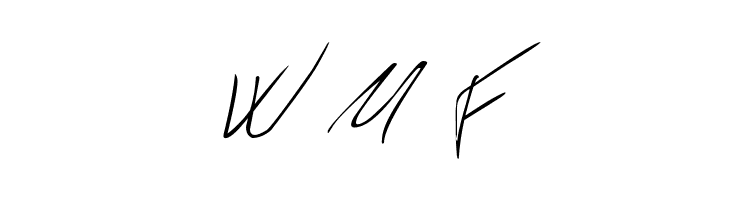 Biffe&acute;s Calligraphy  Free Fonts Download