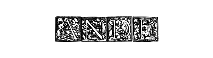 HolbeinChildrens  Free Fonts Download