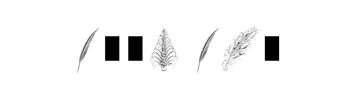 PenmanshipFeathers  Free Fonts Download