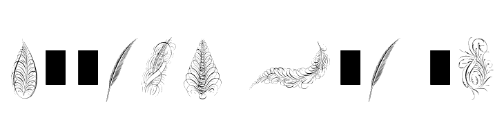 PenmanshipFeathers  Free Fonts Download