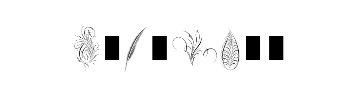 Penmanship Feathers  Free Fonts Download
