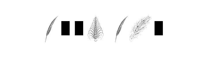 Penmanship Feathers  Free Fonts Download
