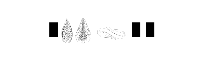 Penmanship Feathers  Free Fonts Download