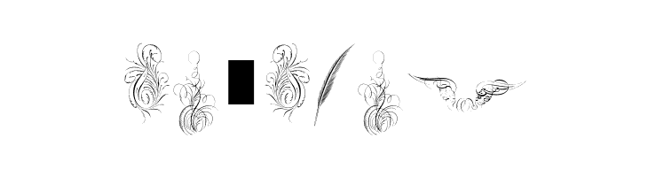 Penmanship Feathers  Free Fonts Download