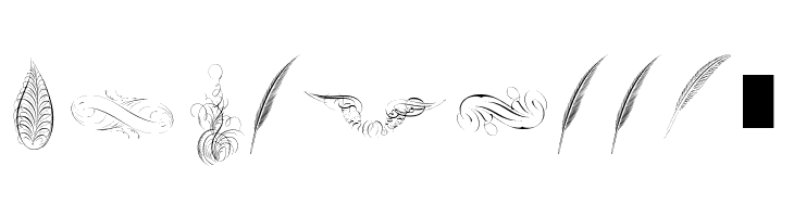 Penmanship Feathers  Free Fonts Download