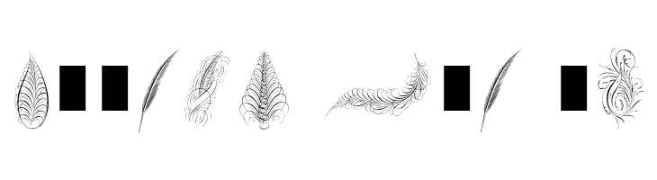 Penmanship Feathers  Free Fonts Download