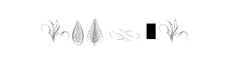 Penmanship Feathers  Free Fonts Download