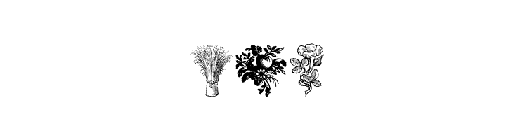 Vegetable Breathe Free Two  Free Fonts Download