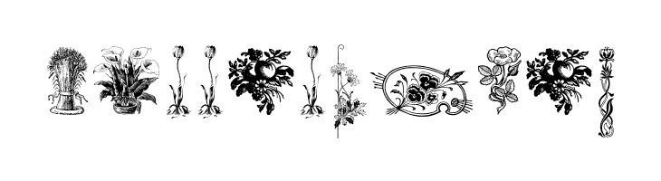 Vegetable Breathe Free Two  Free Fonts Download