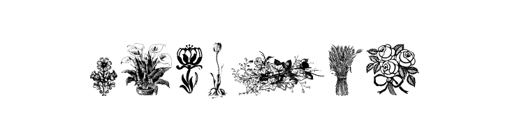 Vegetable Breathe Free Two  Free Fonts Download