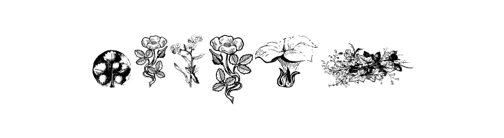 Vegetable Breathe Free Two  Free Fonts Download