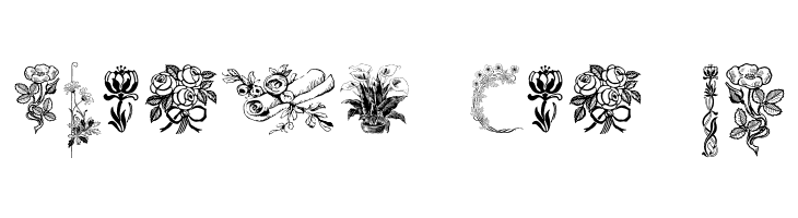 Vegetable Breathe Free Two  Free Fonts Download